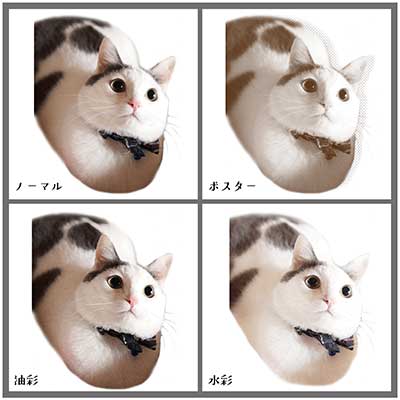 コーヒーカップ